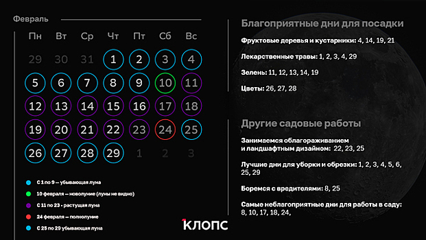 Когда посадить зелень и обрезать деревья: лунный календарь на февраль