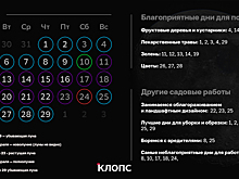 Когда посадить зелень и обрезать деревья: лунный календарь на февраль