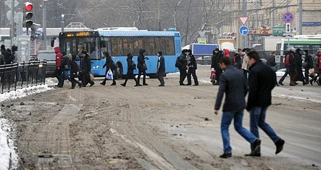 ЦОДД предупредил москвичей о порывистом ветре