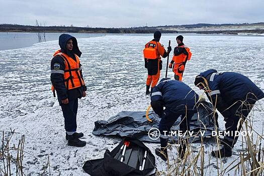 Лебедь вмерз в лед, а вокруг него кружила его стая и не улетала