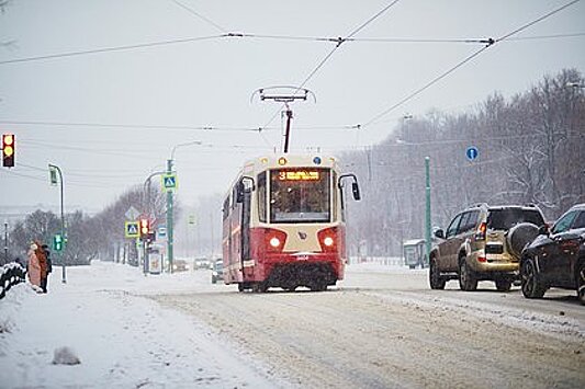 Петербуржцев предупредили о метели 12 декабря