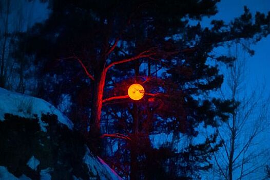 Фестиваль светового искусства «Не темно» пройдёт на пяти площадках Екатеринбурга