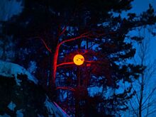 Фестиваль светового искусства «Не темно» пройдёт на пяти площадках Екатеринбурга