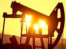 Всё из-за Трампа: Европейские и российские нефтегазовые компании резко урежут выплаты дивидендов