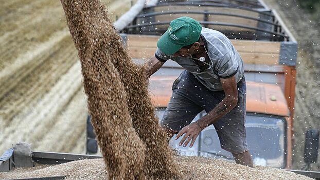 Египет планирует создать международный центр торговли зерном