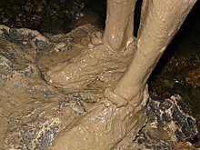 Под Новосибирском 12-летнего мальчика затянуло в глиняную яму