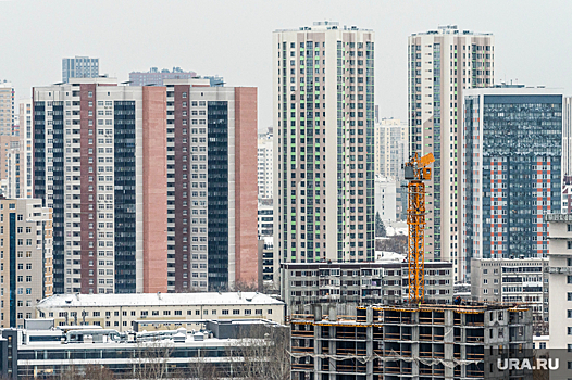 Президент гильдии риэлторов Горский: в России будут строить меньше жилья