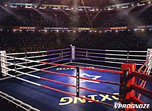 Глава RCC Boxing Promotions: очень возможно, что в следующем году по WBA могут состояться в России большие бои