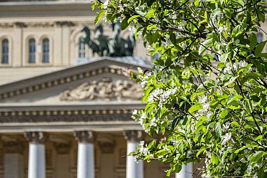 Артисты Большого театра пожаловались Путину на пенсионную реформу