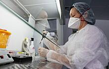 Российские учёные разработали действующие вещества против коронавируса