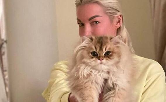 Волочкова разгневалась из-за фейковой новости про чучело кота