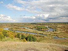 В Тамбовской области предложили создать три новых заповедника