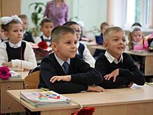 В Совфеде предложили увеличить объемы госзакупок школьной формы из российской шерсти
