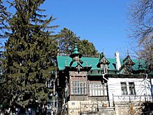 Шаляпинская ель в музее певца в Кисловодске обследована и чувствует себя хорошо