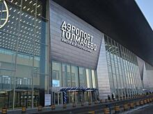 Около 50 млрд руб. может быть затрачено на реконструкцию аэропорта Толмачево до конца 2030 года