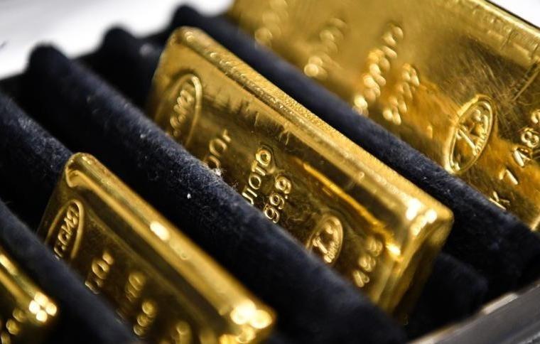 При обыске у экс-генпрокурора Украины Пискуна в Ницце нашли 3 кг золота