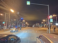 В Новосибирске ищут водителя, сбившего на переходе женщину с ребенком