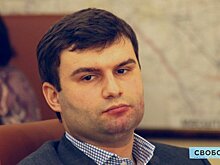 Взлет и падение Александра Гайдука. Некогда перспективный политик-единоросс оказался в СИЗО