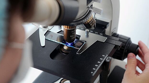 В России нашли новый способ защиты аквакультуры в рыбных хозяйствах