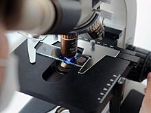 В России нашли новый способ защиты аквакультуры в рыбных хозяйствах