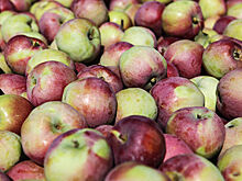 В Белоруссии ждут инспекцию Россельхознадзора