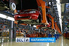 Альянс Renault-Nissan-Mitsubishi изучает условия локализации производства в Калининграде