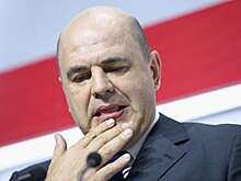 Мишустин отчитал правительство