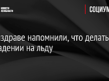 В Минздраве напомнили, что делать при падении на льду