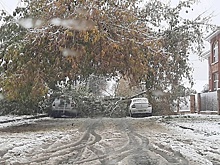 В Ульяновской области прогнозируют снегопад, в Мордовию циклон уже пришел