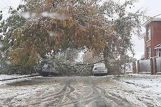 В Ульяновской области прогнозируют снегопад, в Мордовию циклон уже пришел
