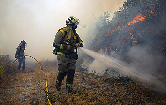 Сотни крупных лесных пожаров бушуют на юге Европы
