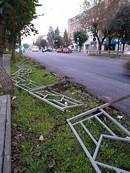 В Кирове продолжается дезаборизация
