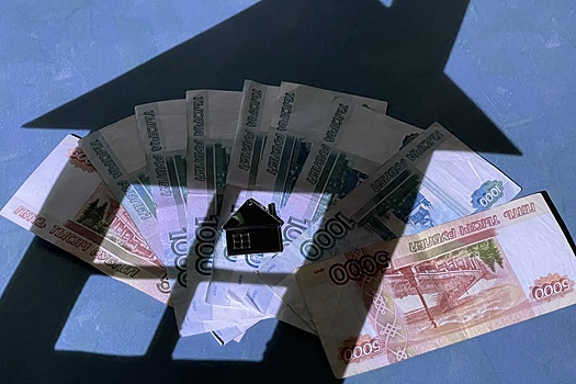 Граждане в России и Беларуси декларируют доходы: как это происходит