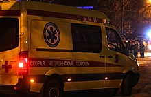 На западе Москвы автобус сбил двух пешеходов