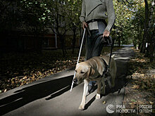 Какие сны видят слепые?