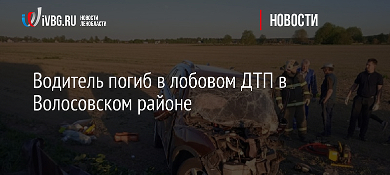 Водитель погиб в лобовом ДТП в Волосовском районе