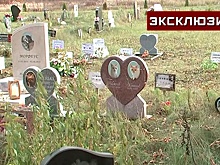 Эксперт Юрченко объяснил, почему домашних питомцев нельзя хоронить у дома