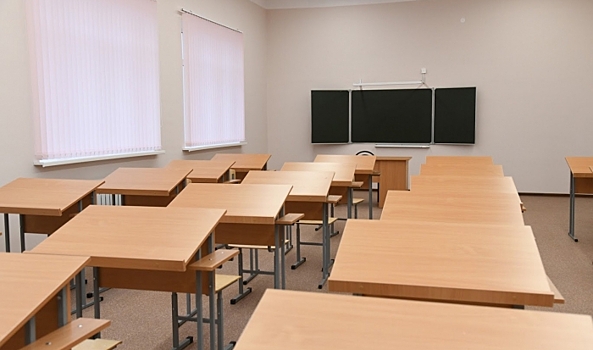 В Волгограде объяснили увольнение «пострадавшего за кактус» преподавателя