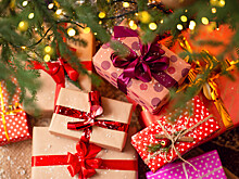 Эксперт объяснил, какие игрушки не нужно дарить ребенку на Новый год