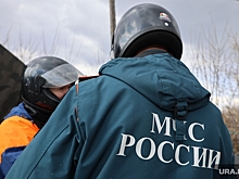 МЧС России заявило о ликвидации пожара, где погибла курганская семья