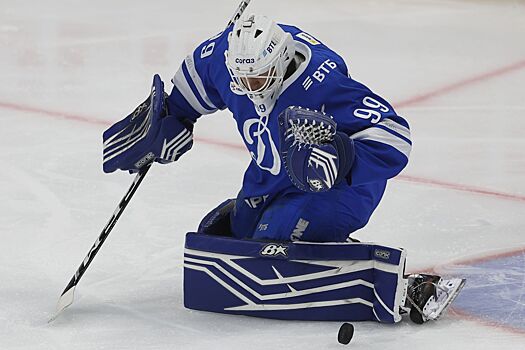 В московском «Динамо» прокомментировали будущее в клубе голкипера Моторыгина