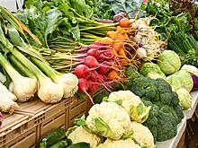 Самозанятые Самарской области смогут участвовать в ярмарках выходного дня