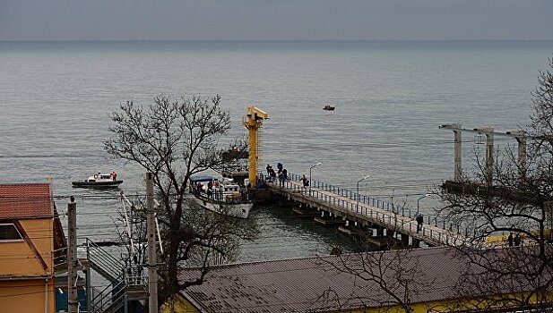 Тела семи погибших обнаружены на месте крушения Ту-154 в районе Сочи