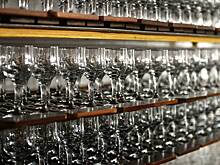 Россияне резко увеличили потребление дешевых игристых вин