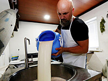 Россия нарастила на 10% экспорт аграрной продукции в Азию по итогам 2022 года