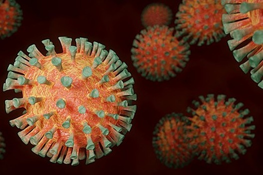 Вирусологи обнаружили «подпольный» путь распространения коронавируса