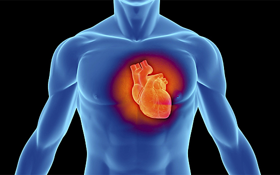 Как прокачать свое сердце и защититься от инфаркта