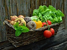 В Совфеде предложили перейти исключительно на отечественные овощи: как изменится цена
