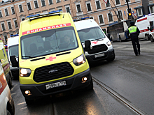 «Не думала, что человека может так размазать»: дочь сбитого пешехода три года добивается возбуждения уголовного дела