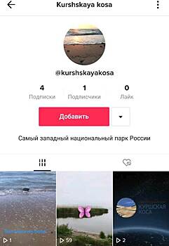 Куршская коса завела аккаунт в Тик-Токе